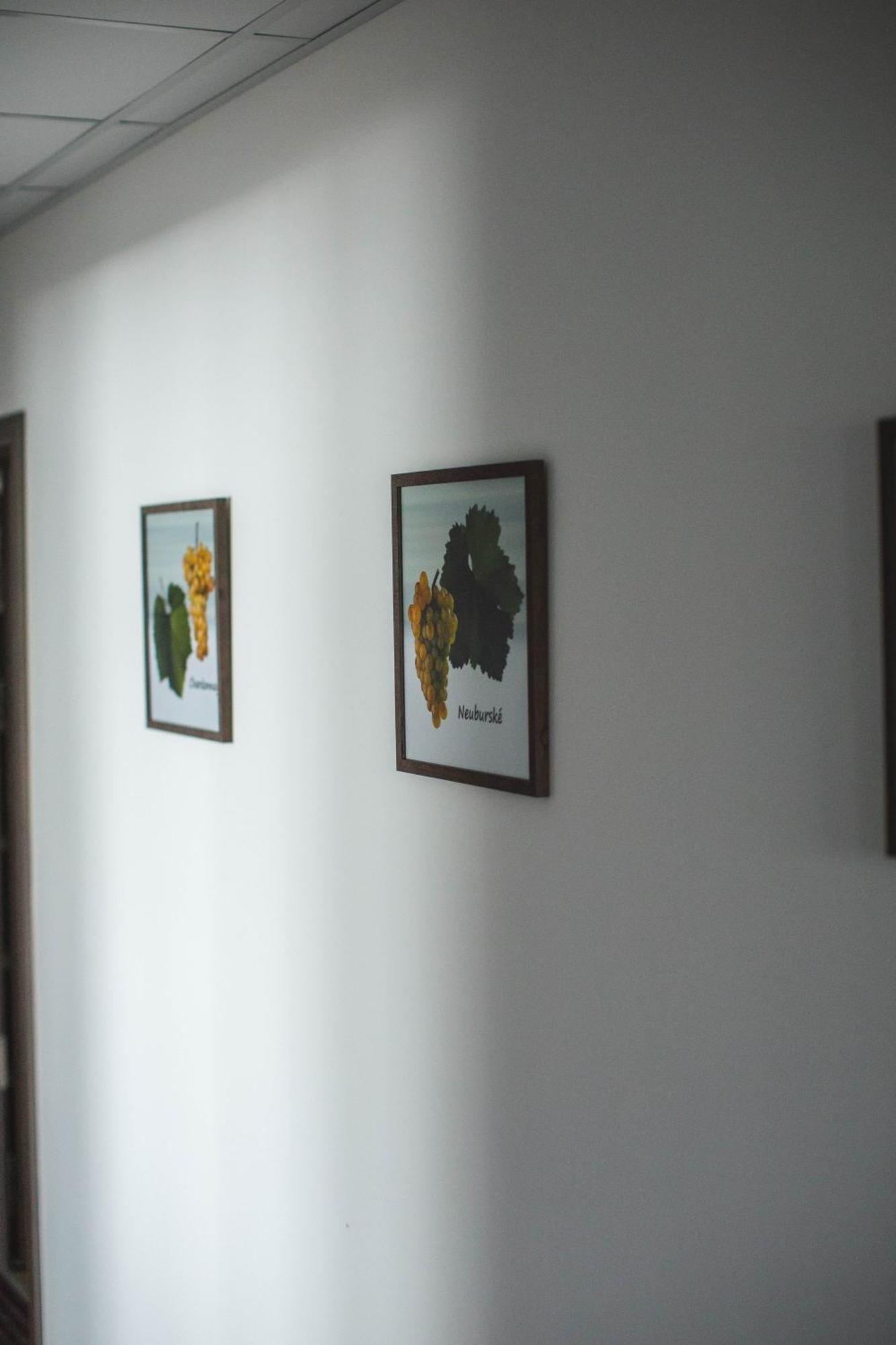 Apartmany Pemag Mikulov Luaran gambar